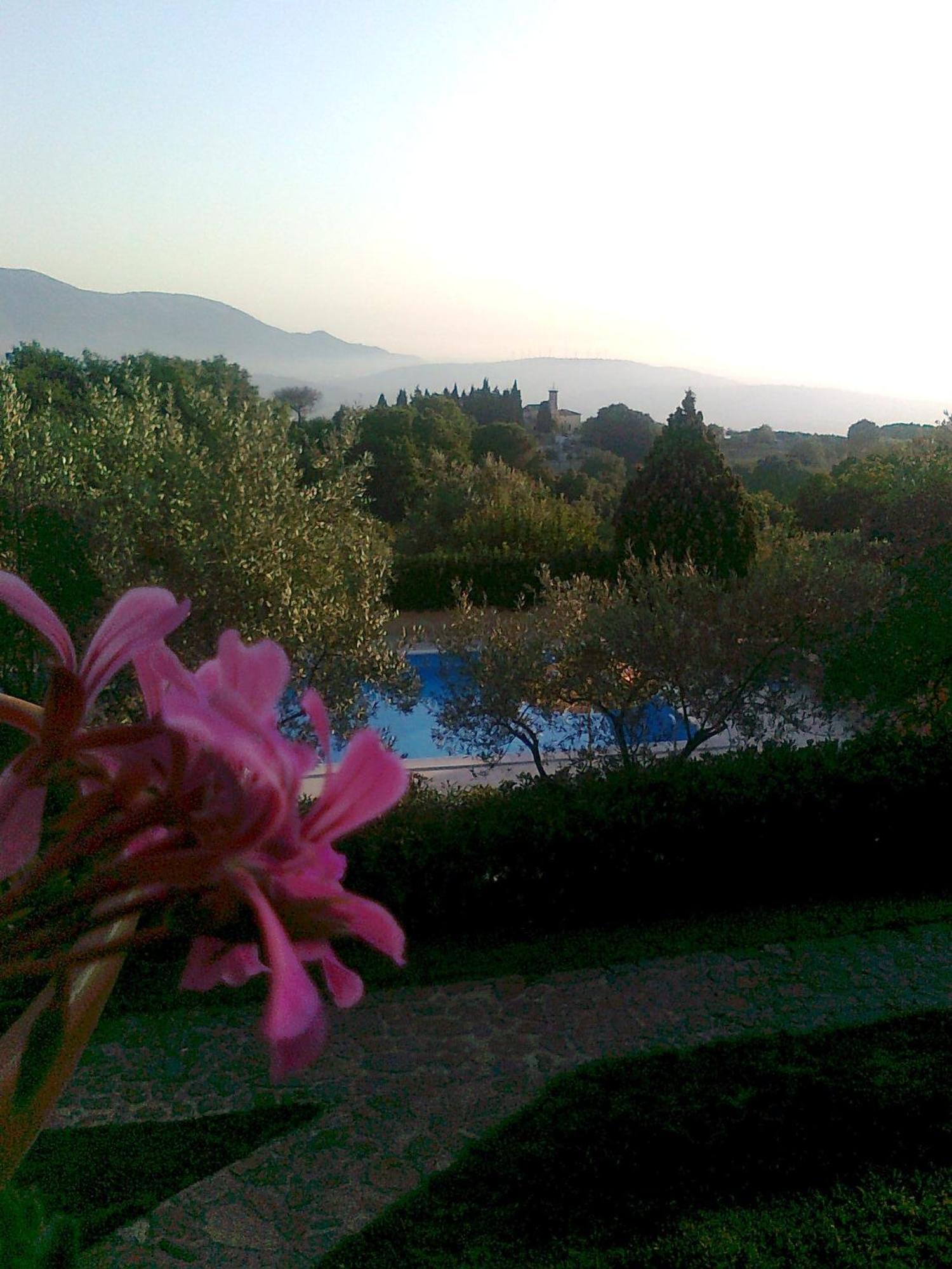 Bed and Breakfast Casale Degli Ulivi Prestige Альтавилла-Силентина Экстерьер фото