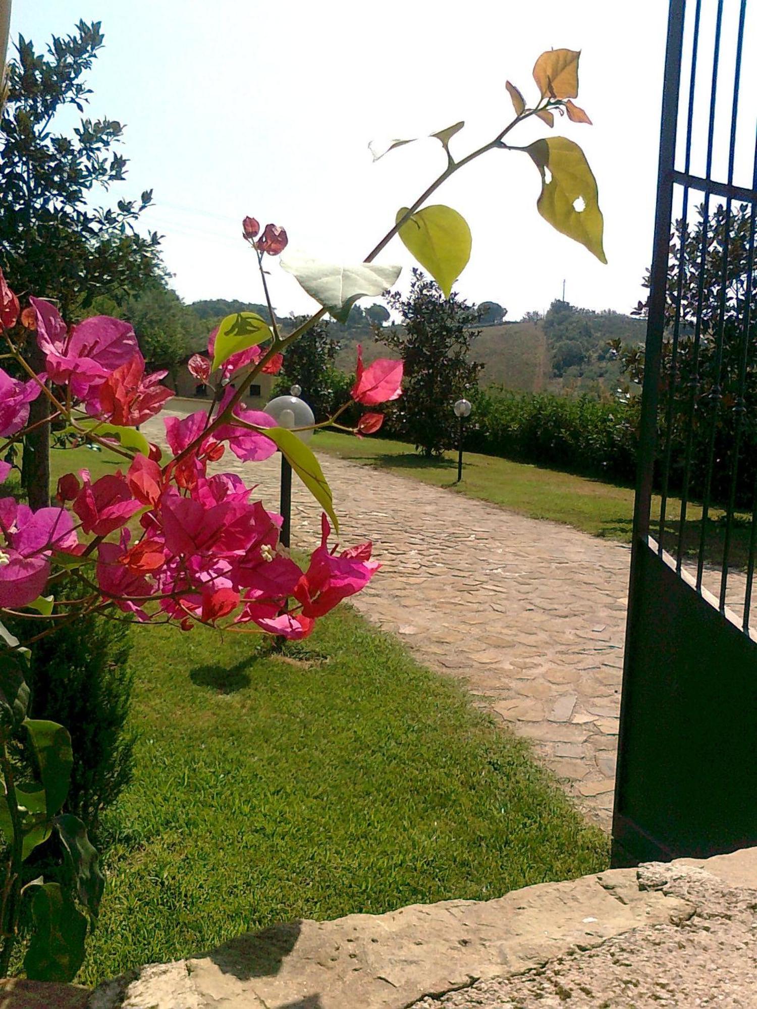 Bed and Breakfast Casale Degli Ulivi Prestige Альтавилла-Силентина Экстерьер фото